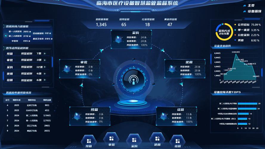醫保局大數據風控系統界面